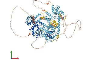 Protein Structure (PS) image for SWI/SNF-Related, Matrix-Associated Actin-Dependent Regulator of Chromatin, Subfamily A, Containing DEAD/H Box 1 (SMARCAD1) (AA 1-1021) protein (His tag) (ABIN7563594)