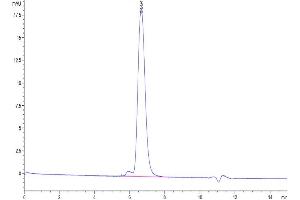 Size-exclusion chromatography-High Pressure Liquid Chromatography (SEC-HPLC) image for Platelet Derived Growth Factor Receptor beta (PDGFRB) (AA 33-530) protein (His-Avi Tag,Biotin) (ABIN7275446)