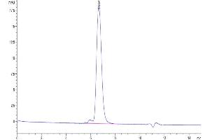 The purity of Biotinylated Human PDGF R beta is greater than 95 % as determined by SEC-HPLC. (PDGFRB Protein (His-Avi Tag,Biotin))