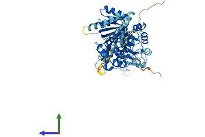 Protein Structure (PS) image for DEAD (Asp-Glu-Ala-Asp) Box Polypeptide 28 (DDX28) (AA 1-540) protein (His tag) (ABIN7560685)