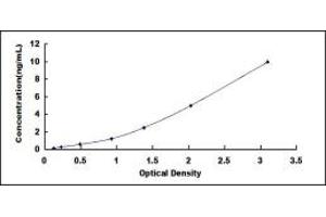 Typical standard curve (TNFRSF10B ELISA 试剂盒)