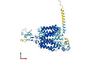 Protein Structure (PS) image for Solute Carrier Family 22, Member 20 (SLC22A20) (AA 1-556) protein (His tag) (ABIN7558333)