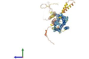 AlphaFold protein structure predicition of Human Recombinant GPR135 Protein, UniprotID Q8IZ08