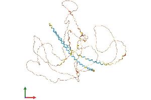 AlphaFold protein structure predicition of Mouse Recombinant Kprp Protein, UniprotID B2RUR4