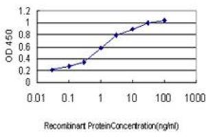 Detection limit for recombinant GST tagged S100A6 is approximately 0. (S100A6 抗体  (AA 18-90))
