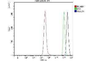 Flow Cytometry analysis of Daudi cells using anti-Ubc13/UBE2N antibody (ABIN7599924).