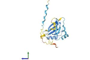 AlphaFold protein structure predicition of Human Recombinant RCAN2 Protein, UniprotID Q14206 (RCAN2 Protein (AA 1-197) (His tag))