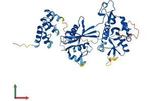 Protein Structure (PS) image for Nudix (Nucleoside Diphosphate Linked Moiety X)-Type Motif 12 (NUDT12) (AA 1-462) protein (His tag) (ABIN7561343)