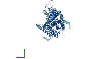 Protein Structure (PS) image for Solute Carrier Family 11 (Proton-Coupled Divalent Metal Ion Transporters), Member 2 (SLC11A2) (AA 1-568) protein (His tag) (ABIN7563335)