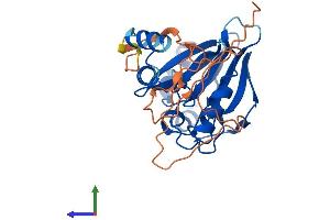 Protein Structure (PS) image for Hydroxyacylglutathione Hydrolase-Like (HAGHL) (AA 1-290) protein (His tag) (ABIN7548172)