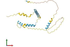 AlphaFold protein structure predicition of Human Recombinant FAM228A Protein, UniprotID Q86W67