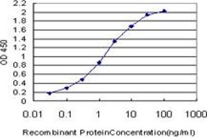 Detection limit for recombinant GST tagged CUTL1 is approximately 0. (CUX1 抗体  (AA 521-620))
