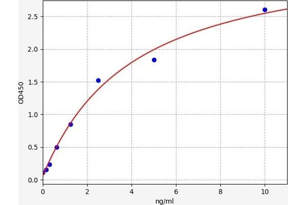 NFkB ELISA 试剂盒