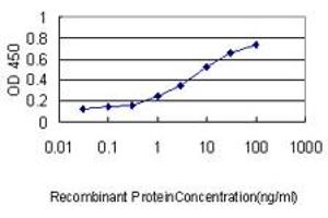 Detection limit for recombinant GST tagged PPIA is approximately 0. (PPIA 抗体  (AA 1-165))