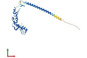 Protein Structure (PS) image for Ring Finger Protein 151 (RNF151) (AA 1-239) protein (His tag) (ABIN7560506)