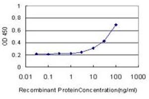 Detection limit for recombinant GST tagged CA8 is approximately 3ng/ml as a capture antibody. (CA8 抗体  (AA 40-139))