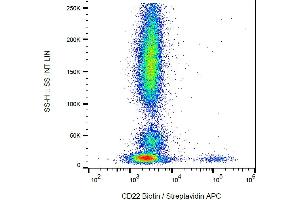 Flow cytometry analysis (surface staining) of human peripheral blood cells with anti-CD22 (MEM-01) biotin / streptavidin-APC. (CD22 抗体  (Biotin))