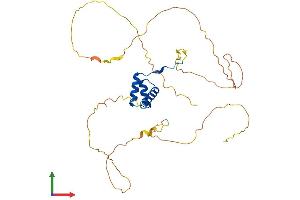 Protein Structure (PS) image for Distal-Less Homeobox Protein 2 (DLX2) (AA 1-332) protein (His tag) (ABIN7563216)