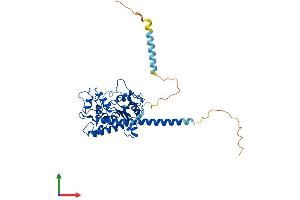 Protein Structure (PS) image for Heparan Sulfate 6-O-Sulfotransferase 1 (HS6ST1) (AA 1-411) protein (His tag) (ABIN7548256)