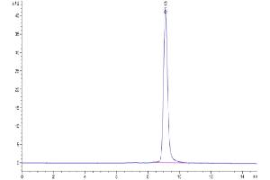 The purity of Cynomolgus IL-22R alpha 1 is greater than 95 % as determined by SEC-HPLC.
