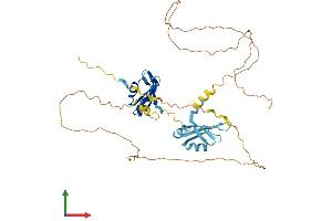 Protein Structure (PS) image for Heterogeneous Nuclear Ribonucleoprotein D-Like (HNRPDL) (AA 1-420) protein (His tag) (ABIN7548347)