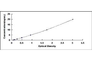 Typical standard curve (FUCA1 ELISA 试剂盒)