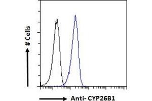 Flow Cytometry (FACS) image for anti-Cytochrome P450, Family 26, Subfamily B, Polypeptide 1 (CYP26B1) (Internal Region) antibody (ABIN185731)