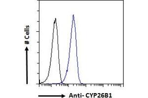 ABIN185731 Flow cytometric analysis of paraformaldehyde fixed A431 cells (blue line), permeabilized with 0. (CYP26B1 抗体  (Internal Region))