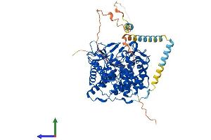 Protein Structure (PS) image for Mannosidase, Alpha, Class 1A, Member 1 (MAN1A1) (AA 1-655) protein (His tag) (ABIN7563269)