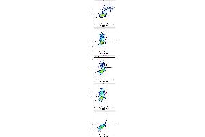 Flow Cytometry (FACS) image for anti-Killer Cell Immunoglobulin-Like Receptor, Two Domains, Long Cytoplasmic Tail, 5A (KIR2DL5A) antibody (APC) (ABIN5710239)