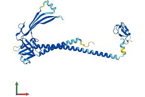 Protein Structure (PS) image for Mitochondrial E3 Ubiquitin Protein Ligase 1 (MUL1) (AA 1-352) protein (His tag) (ABIN7564733)