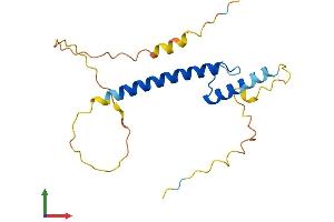 Protein Structure (PS) image for Transcription Factor 21 (TCF21) (AA 1-179) protein (His tag) (ABIN7544362)