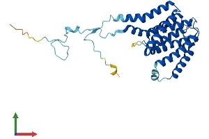 AlphaFold protein structure predicition of Mouse Recombinant Pigc Protein, UniprotID Q9CXR4