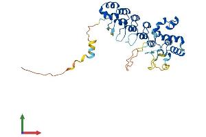 Protein Structure (PS) image for Ankyrin Repeat and SOCS Box-Containing 1 (ASB1) (AA 1-336) protein (His tag) (ABIN7556305)