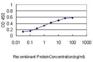 Detection limit for recombinant GST tagged NPC1 is approximately 0. (NPC1 抗体  (AA 151-250))