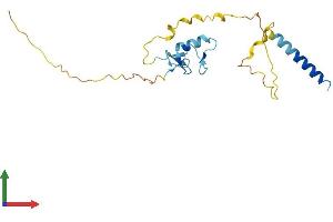 Protein Structure (PS) image for Ring Finger Protein 185 (RNF185) (AA 1-192) protein (His tag) (ABIN7560119)