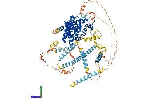 Protein Structure (PS) image for Dystrobrevin alpha (DTNA) (AA 1-746) protein (His tag) (ABIN7560920)
