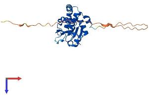 Protein Structure (PS) image for Dual Specificity Phosphatase 15 (DUSP15) (AA 1-235) protein (His tag) (ABIN7559768)