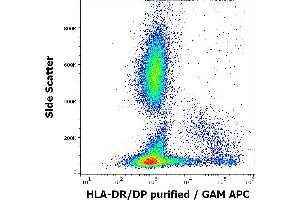 Flow cytometry surface staining pattern of human peripheral whole blood stained using anti-human HLA-DR/DP (HL-40) purified antibody (concentration in sample 1 μg/mL) GAM APC. (HLA-DP/DR 抗体)
