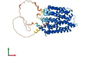 Protein Structure (PS) image for Spinster Homolog 2 (SPNS2) (AA 1-549) protein (His tag) (ABIN7559994)