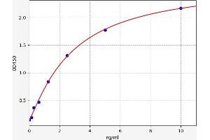 Typical standard curve (CDK7 ELISA 试剂盒)