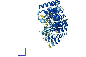 Protein Structure (PS) image for Leucine Rich Repeat Containing 14 (LRRC14) (AA 1-493) protein (His tag) (ABIN7559793)
