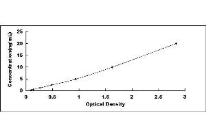 Typical standard curve (Dopamine d2 Receptor ELISA 试剂盒)