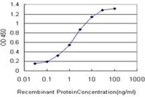 Detection limit for recombinant GST tagged FOXO3A is approximately 0. (FOXO3 抗体  (AA 361-460))