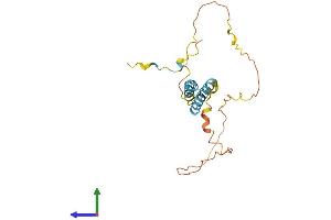 AlphaFold protein structure predicition of Human Recombinant TMEM134 Protein, UniprotID Q9H6X4
