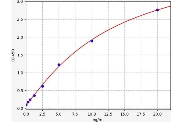 AQP3 ELISA 试剂盒