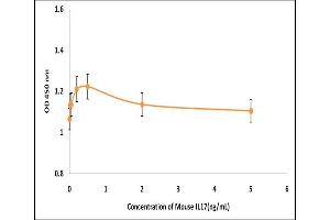 Activity Assay (AcA) image for Interleukin 17 (IL17) (Active) protein (ABIN5509454) (IL-17 蛋白)