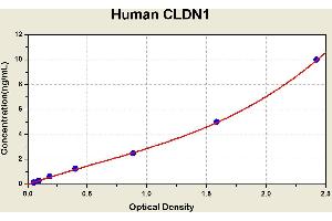 Diagramm of the ELISA kit to detect Human CLDN1with the optical density on the x-axis and the concentration on the y-axis. (Claudin 1 ELISA 试剂盒)