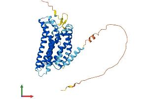 AlphaFold protein structure predicition of Human Recombinant GPR4 Protein, UniprotID P46093