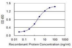 Detection limit for recombinant GST tagged MYCBP is 0. (MYCBP 抗体  (AA 1-103))